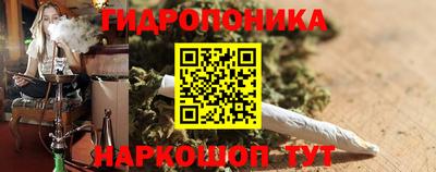 герыч Кингисепп