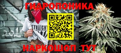 герыч Кингисепп