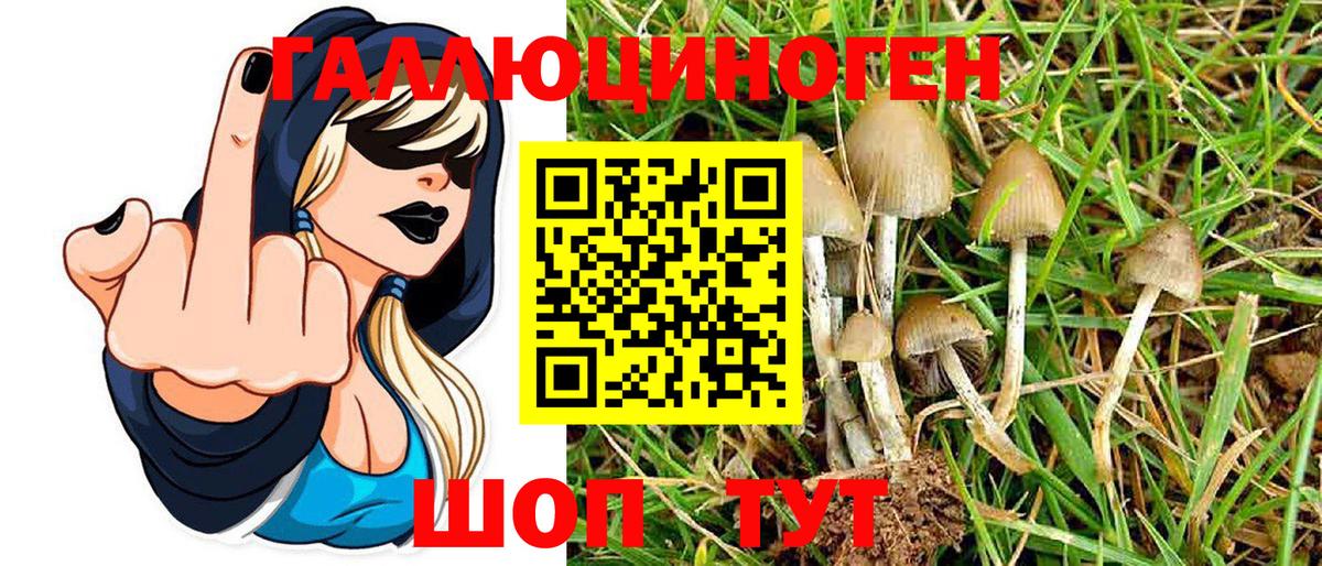 Псилоцибиновые грибы ЛСД  Вход с VPN  Галлюциногенные грибы Magic Shrooms  Котовск 